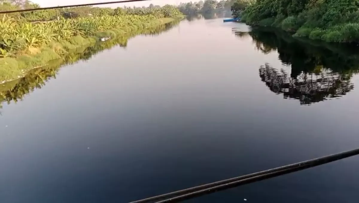 DLHK Banten Segel Tiga Perusahaan di Tangerang Diduga Cemari Sungai Cisadane