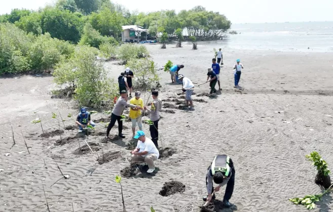 Jaga Pesisir Utara Tangerang, Aktivis Lingkungan Tanam Ribuan Mangrove