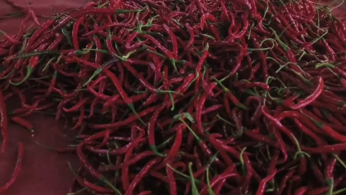 Harga Cabai Rawit Merah di Tangerang Tembus Rp85.000 Per Kilogram, Omzet Pedagang Anjlok!