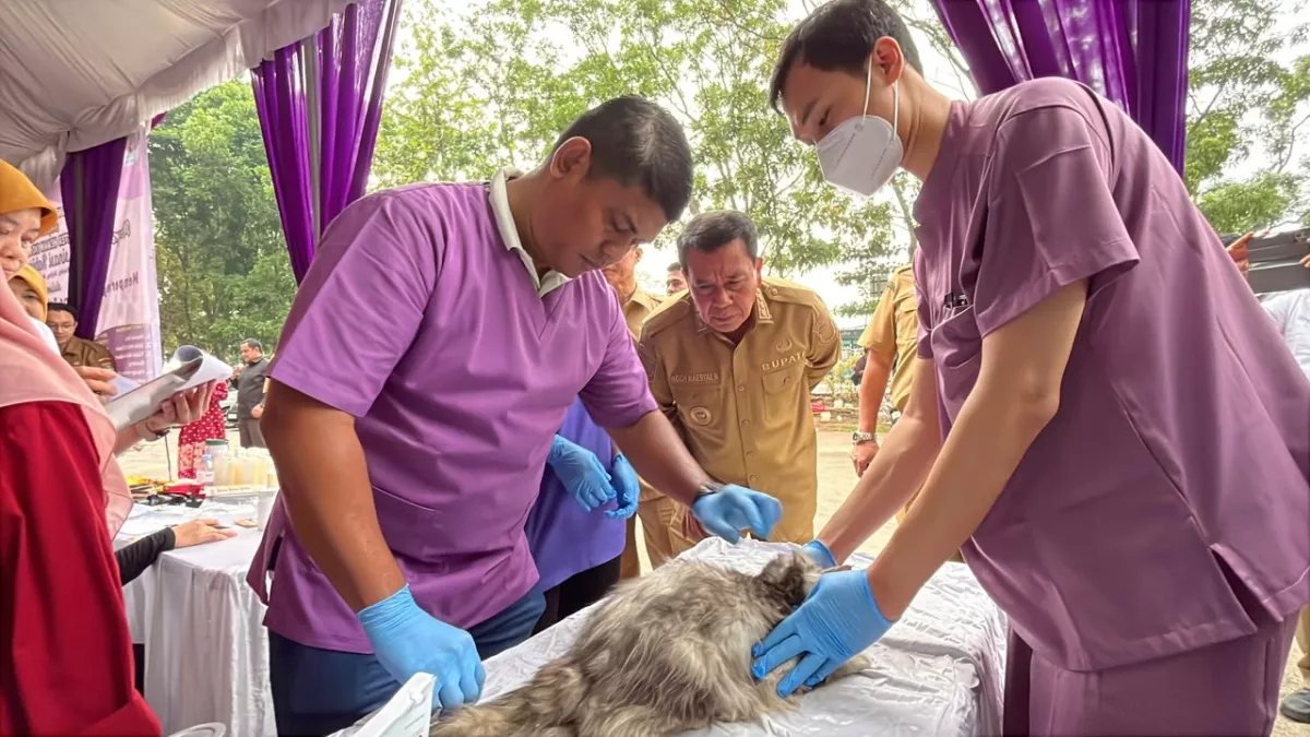 Antisipasi Zoonosis, Pemkab Tangerang Fasilitasi Vaksinasi Rabies Gratis untuk Ratusan Hewan Peliharaan