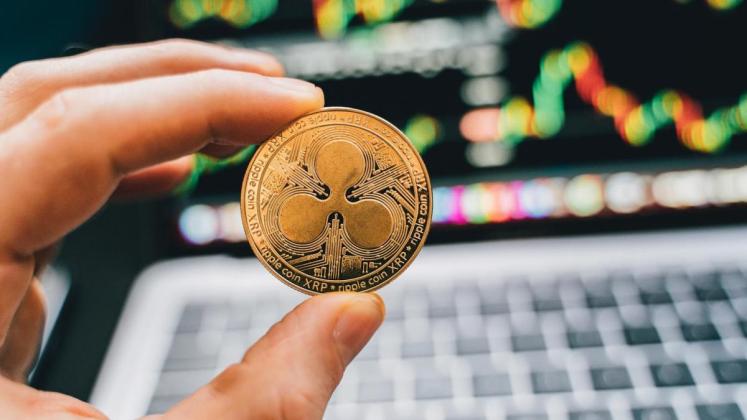 Ripple Coin (XRP): Panduan Lengkap untuk Pemula