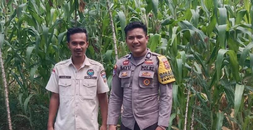 Di Solok Selatan, Bhabinkamtibmas Turun ke Sawah: Wujud Nyata Visi Ketahanan Pangan Prabowo