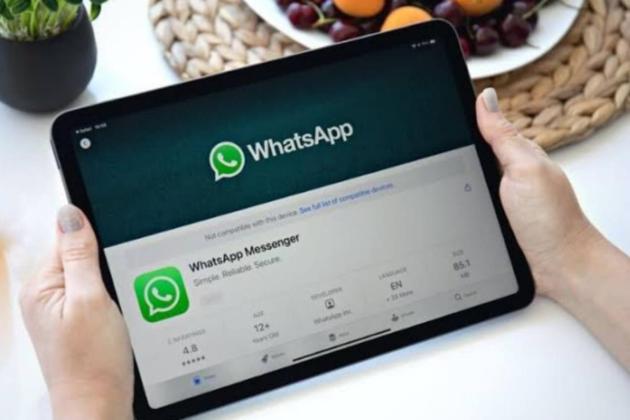 WhatsApp Resmi Hadir di iPad, Ini Dia Fitur Canggih yang Wajib Kamu Coba