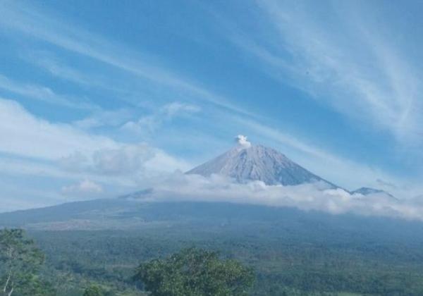 Gunung Semeru Erupsi 8 Kali, Ketinggian Mencapai 500 Meter di Atas Puncak