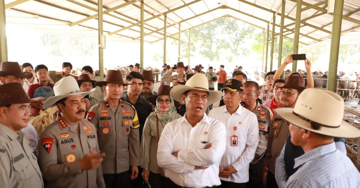 Mentan Amran Sulaiman Tinjau Konsep Peternakan Sapi di Kabupaten Tangerang