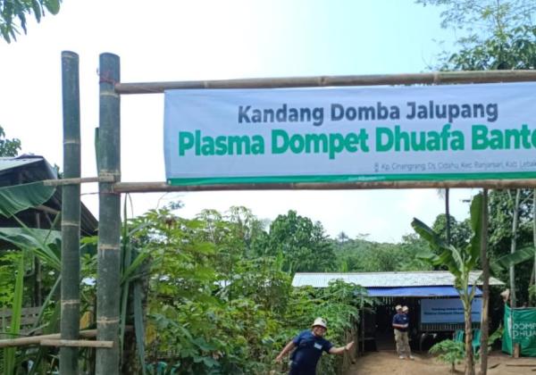 Dorong Ekonomi Warga, Pramukantor Beralih Menjadi Peternak Plasma Jalupang Bersama Dompet Dhuafa Banten