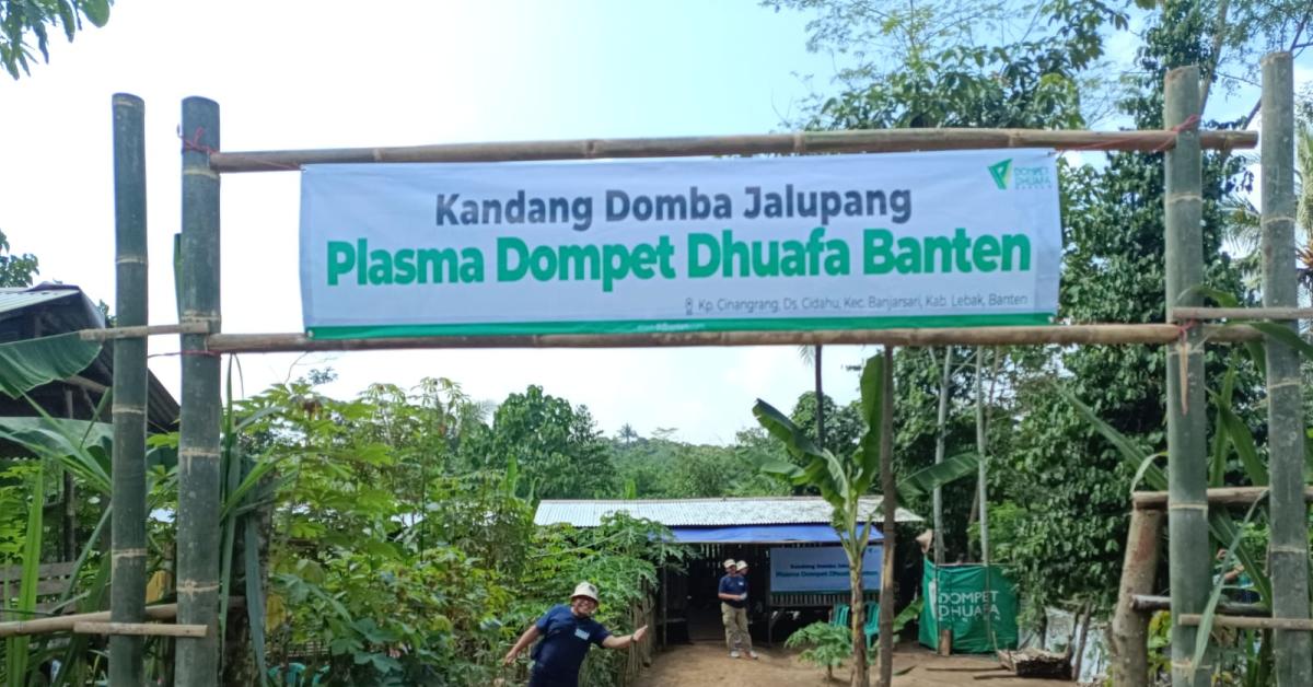 Dorong Ekonomi Warga, Pramukantor Beralih Menjadi Peternak Plasma Jalupang Bersama Dompet Dhuafa Banten