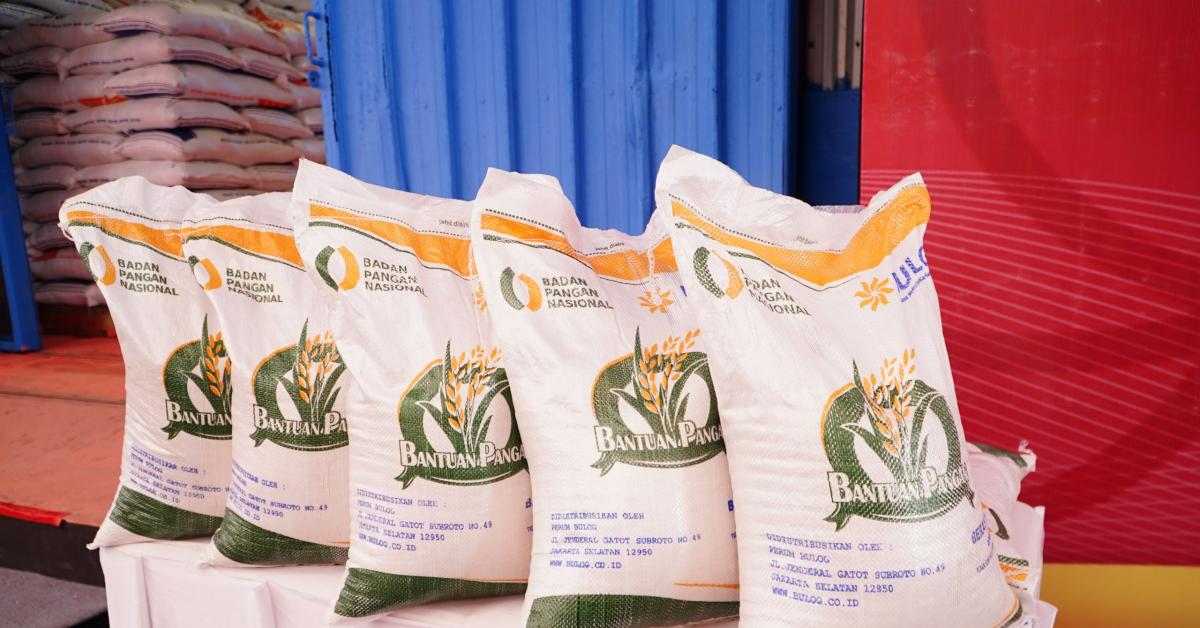 INDEF Respons Rencana Pemerintah Gelontorkan Bantuan Pangan Beras Rp 9 Triliun