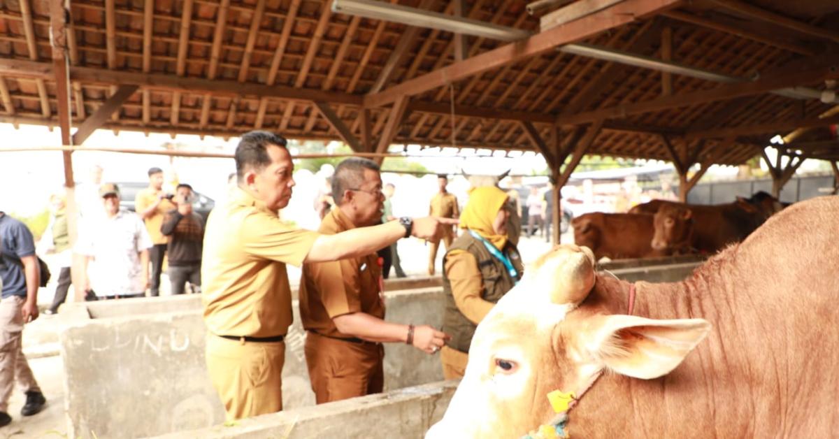 Jamin Hewan Kurban di Kabupaten Tangerang Layak Konsmsi, Pj Andi: 16 Ribuan Sudah Divaksinasi!