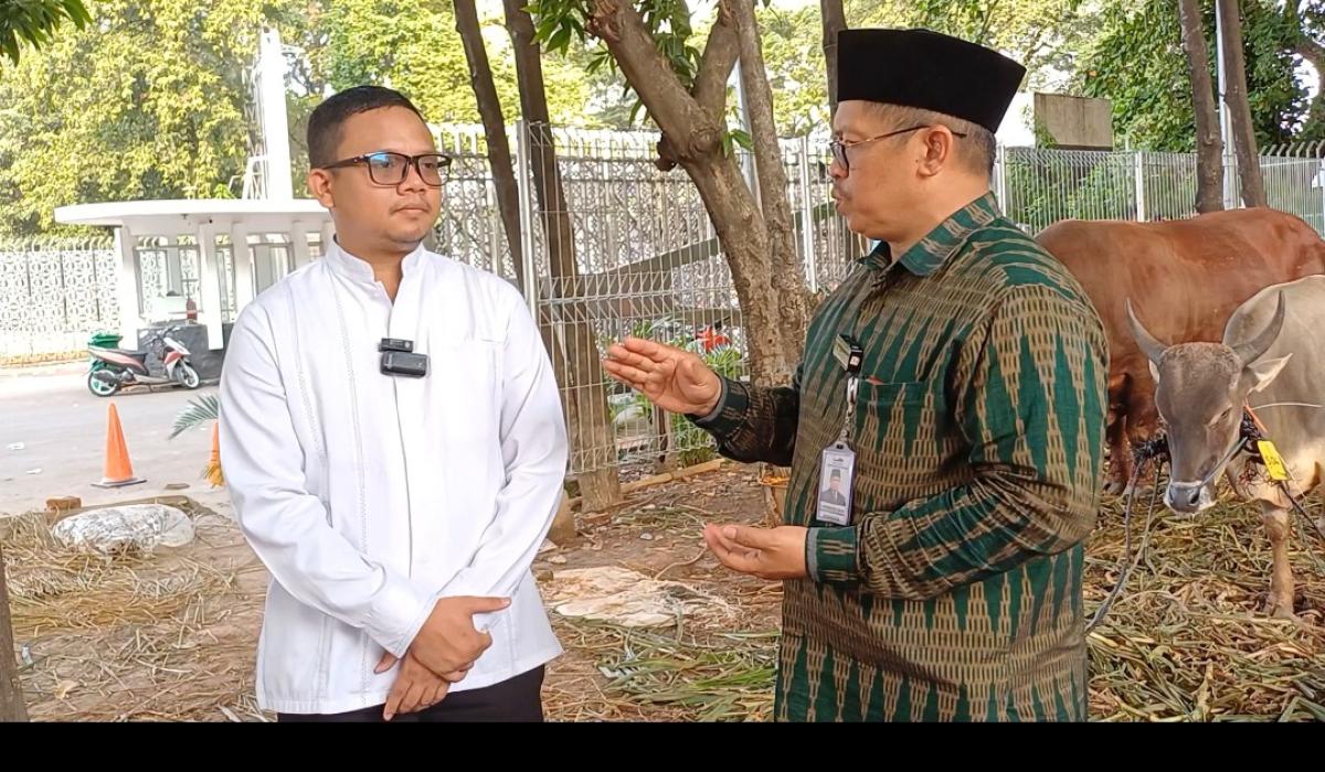 Gemblung bin Daud, Nama Sapi Qurban Gibran Rakabuming Raka di Masjid Istiqlal Jakarta