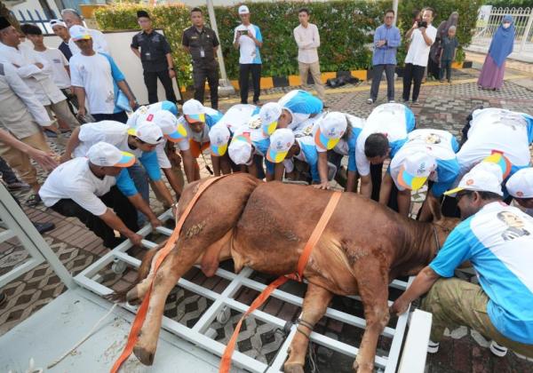 DKI Gencarkan Edukasi Penyembelihan Hewan Kurban Higienis Jelang Idul Adha 2026