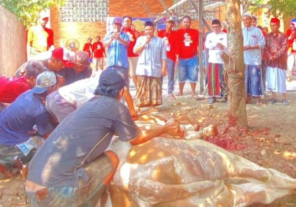 Tokoh Politik di Kabupaten Tangerang Ini Kurban 23 Ekor Sapi, 8 Diantaranya Jenis Limosin Bobot 1 Ton