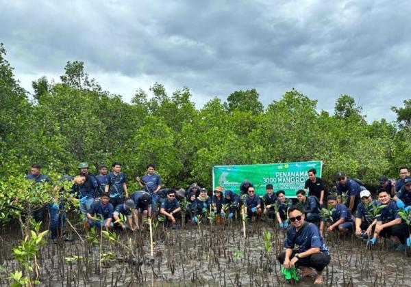 Peringati Hari Lingkungan Hidup Sedunia, PLN Tanam 3.000 Mangrove di Pesisir Sulawesi Utara