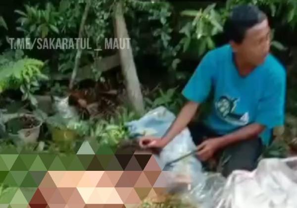 Viral Penemuan Mayat Korban Mutilasi di Garut, Ternyata Pelaku ODGJ