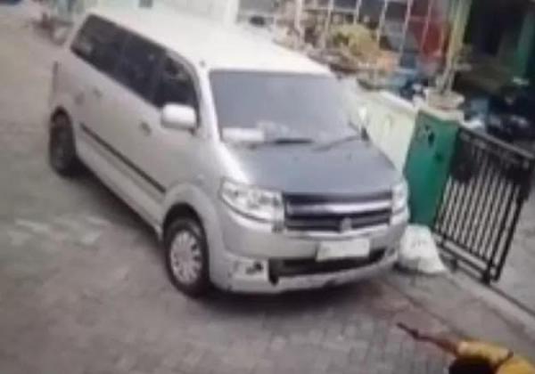 Polisi Tangkap Pria yang Viral Tembak Kucing dengan Pistol