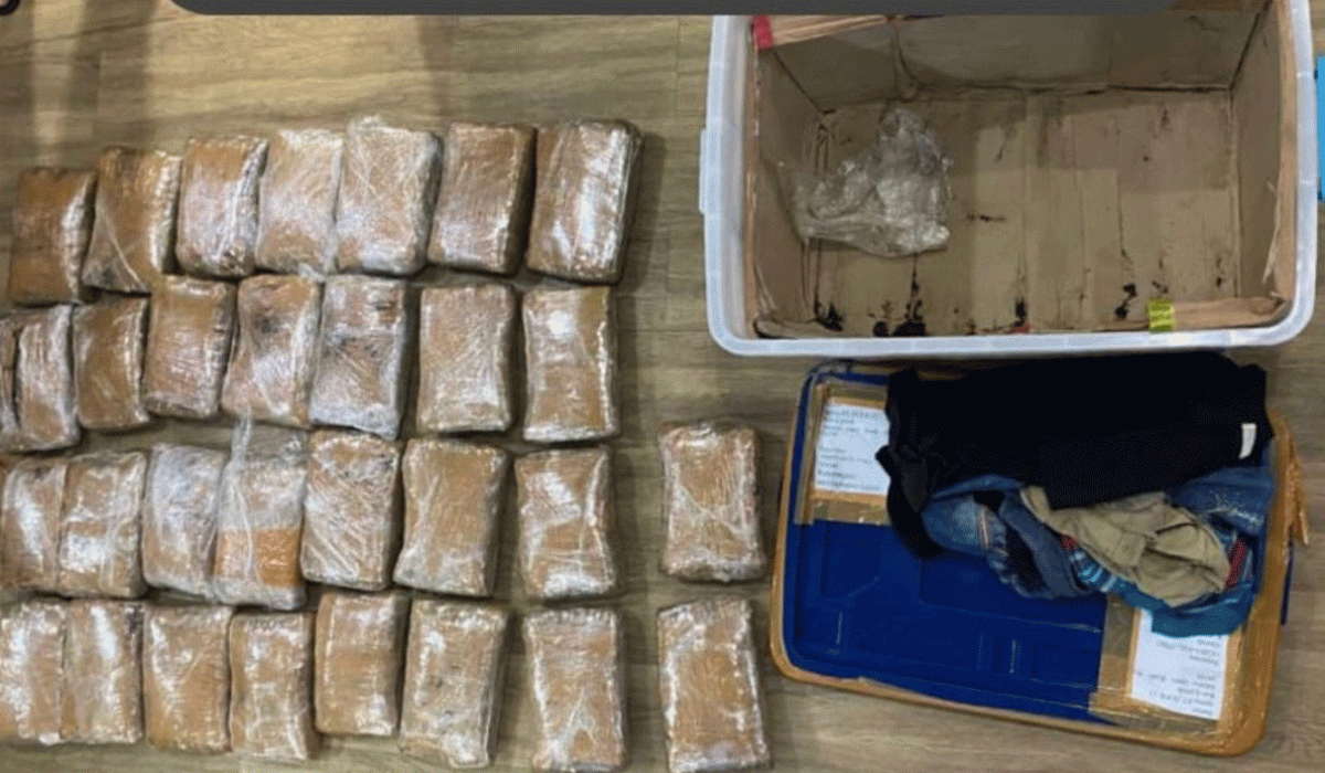 Polisi Bongkar Kasus Narkoba Jenis Ganja 30 Kg di Tanjung Priok, 2 Orang Dibekuk