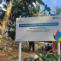 Kejar Target Co-Firing, PLN EPI Gandeng Warga Gunungkidul Budidayakan Tanaman Indigofera di Sultan Ground