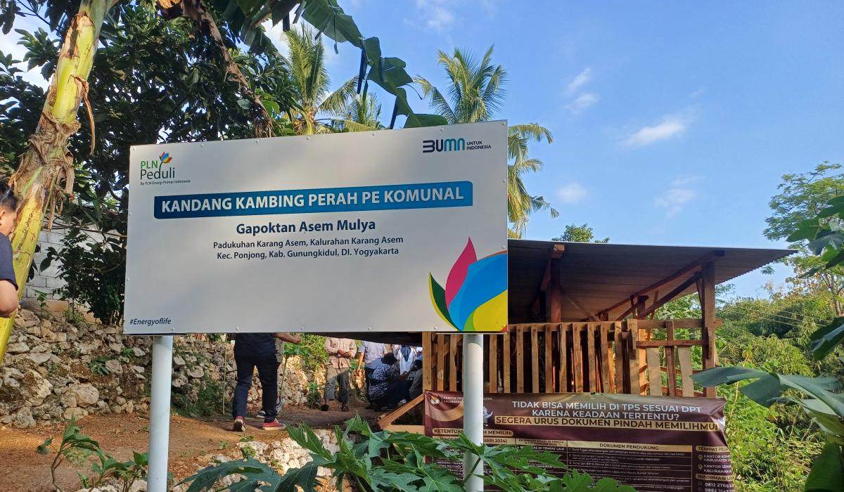 Kejar Target Co-Firing, PLN EPI Gandeng Warga Gunungkidul Budidayakan Tanaman Indigofera di Sultan Ground