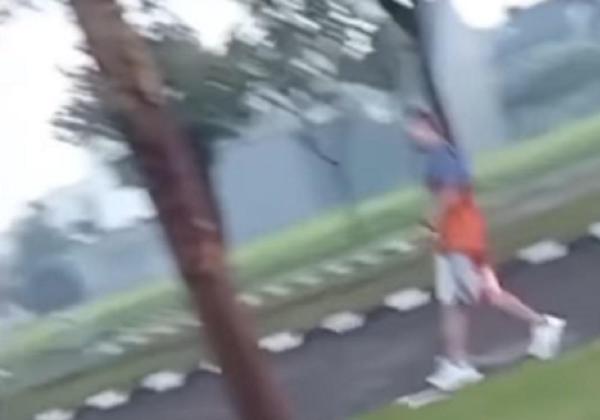 Viral! Pria Tak Berperasaan Injak dan Acak Makanan Kucing, Bikin Emak-emak Ngamuk
