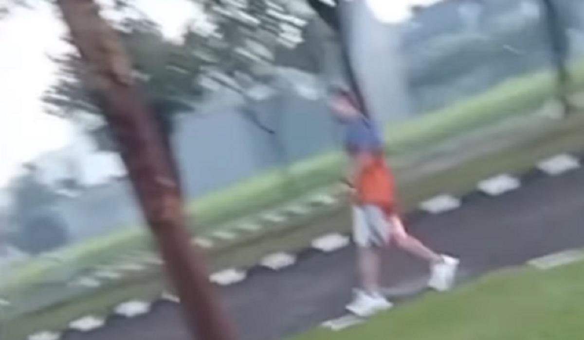 Viral! Pria Tak Berperasaan Injak dan Acak Makanan Kucing, Bikin Emak-emak Ngamuk