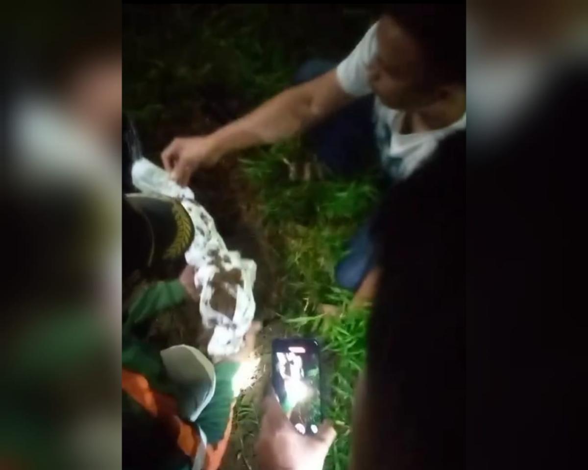 Heboh! Warga Jambe Tangerang Temukan Bayi Kondisi Terkubur di Perkebunan