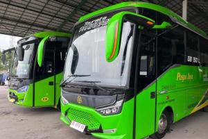 PO Puspa Jaya Luncurkan 2 Bus Pariwisata Baru Karoseri Laksana Bermesin Hino GB 150 L 075326
