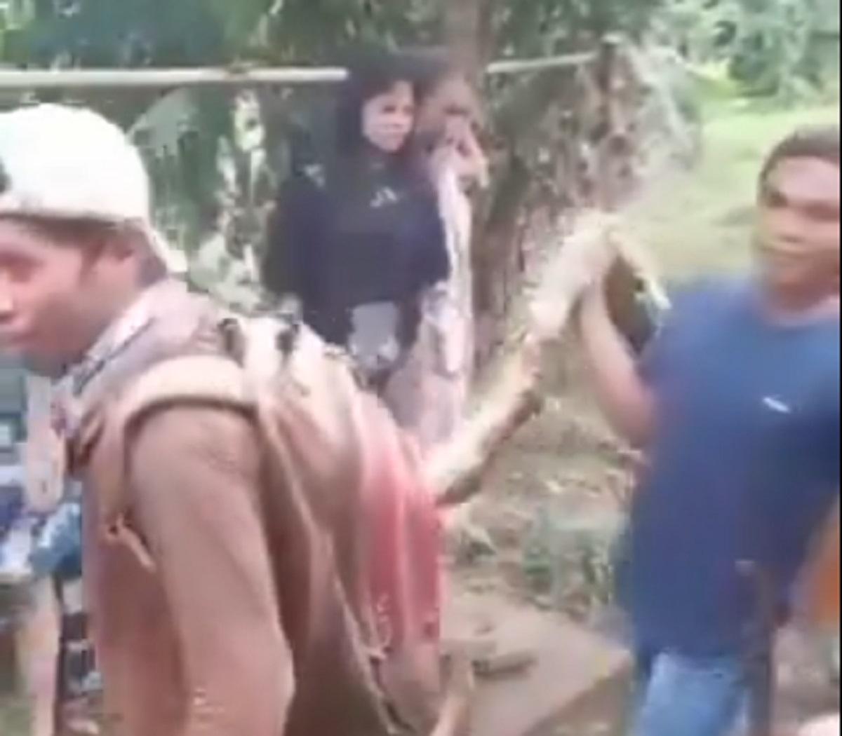 Tragis! Ular Piton 4,5 Meter Telan Nenek hingga Tewas di Sulsel