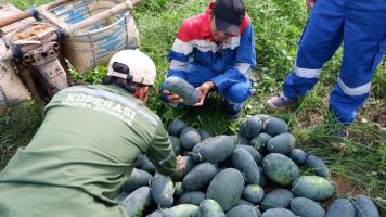PGN Pagardewa Dorong Petani Karet Terapkan Wanatani 070155