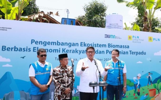 Ubah Lahan Kritis Jadi Hijau dan Produktif, PLN Kembangkan Ekosistem Biomassa Berbasis Pertanian Terpadu