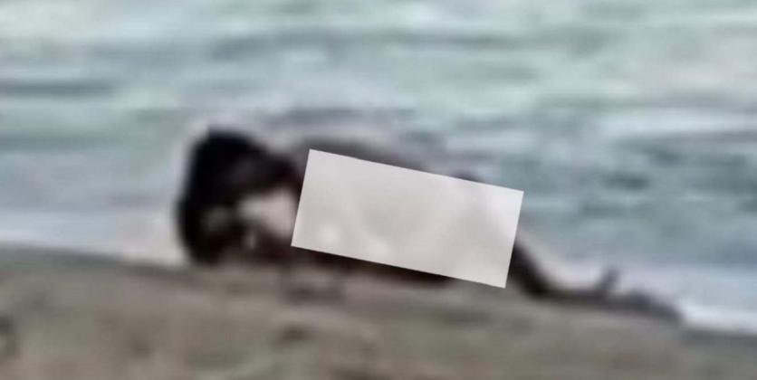 Heboh! Sepasang Bule Berhubungan Intim di Bibir Pantai KEK Mandalika, Videonya Beredar di MedIa Sosial