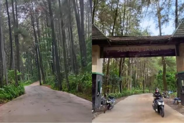 Viral Kawasan Wisata Gunung Pancar Sepi Pengunjung Diduga Karena Banyaknya Pungli