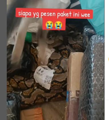 Viral Video Soal Kiriman Paket yang Tak Biasa, Gak Semua Kurir Bisa Bawa! Ngeri....