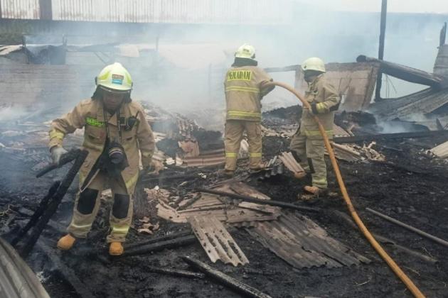 Kandang di Cilincing Hangus Terbakar, 14 Kambing Mati Terpanggang