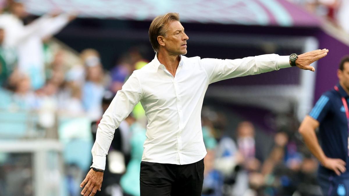 Arab Saudi Tunjuk Kembali Herve Renard Jadi Pelatih Gantikan Roberto Mancini