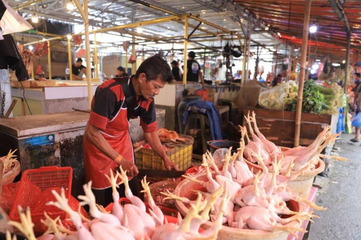 Berikut Harga Terkini Pangan dan Bahan Pokok di Kota Tangerang