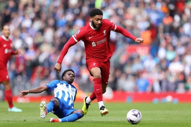 Link Live Streaming Liga Inggris 2024/2025: Liverpool vs Brighton