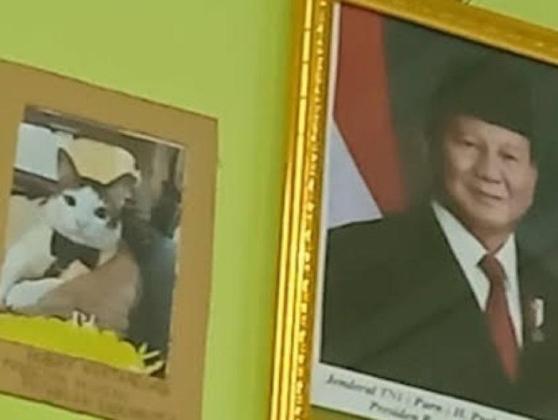 Heboh! Foto Kucing Kesayangan Prabowo Subianto Mejeng di Sekolah