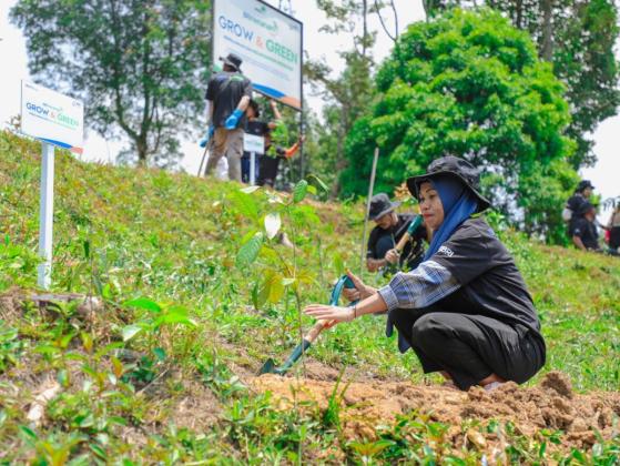 Pulihkan Hutan Bekas Tambang, Aksi Nyata Kelompok Tani Selamatkan Lingkungan Bersama BRI Menanam-Grow & Green