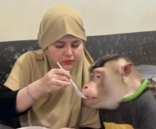 Viral! Wanita Makan Bareng Monyet Pakai Satu Sendok, Netizen Heboh