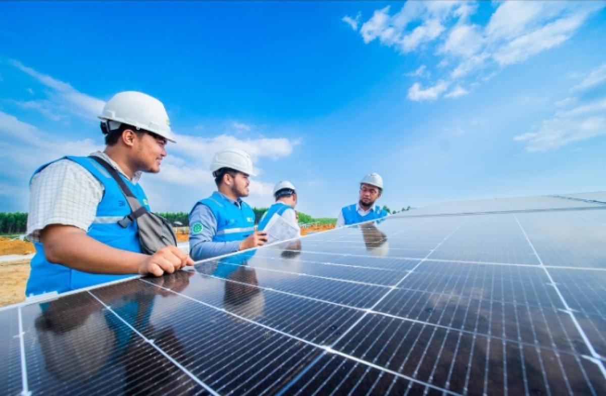 PLN Gandeng Startup Kembangkan Energi Hijau dan Ekosistem EV di Indonesia