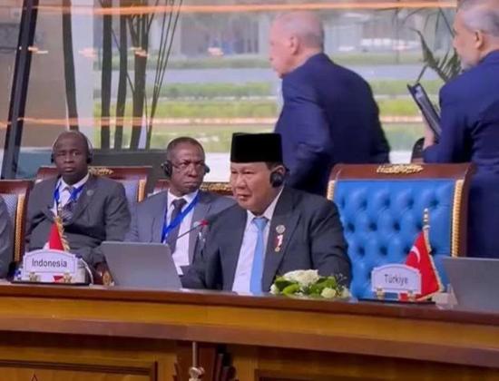 Erdogan Walk Out Saat Prabowo Pidato di KTT D-8, Ketegangan Terjadi di Kairo!