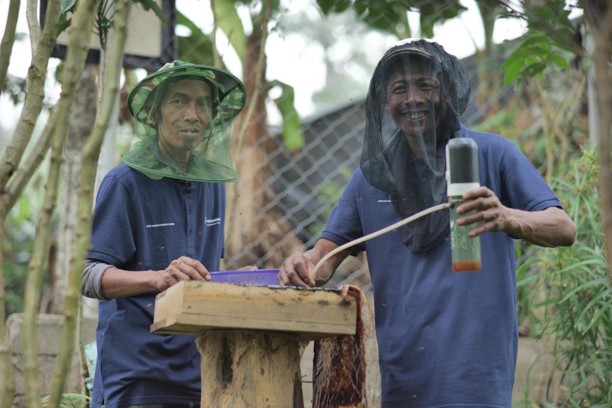Pertamina Dukung 13 Kelompok Perhutanan Sosial untuk Penguatan Komoditas Pangan 045157