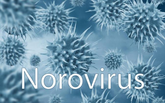 Awas Menular! Kasus Norovirus Meningkat Cepat di AS