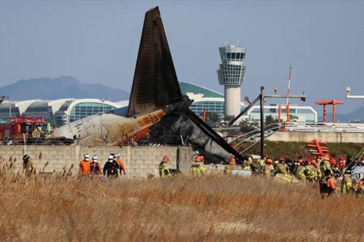 Sebelum Pesawat Jeju Air Jatuh, Menara Kontrol Berikan Peringatan Adanya Tabrakan Burung