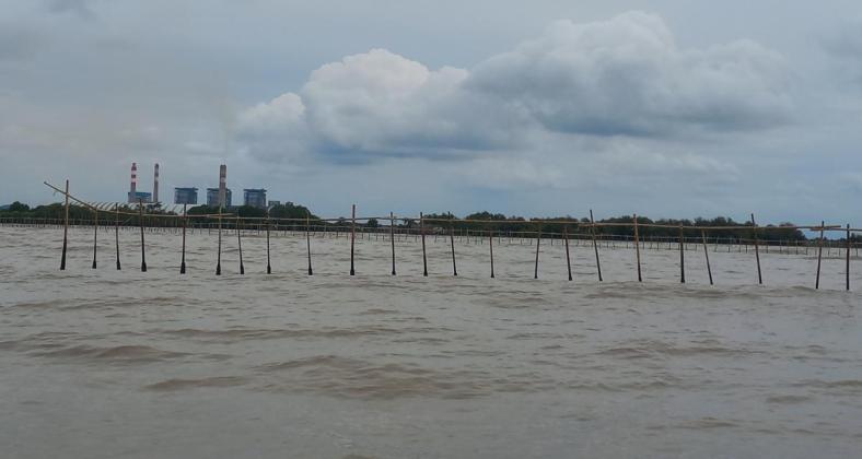 Pengakuan Nelayan Pernah Bertemu dengan Pelaku Pemasangan Pagar Laut