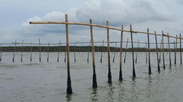 Pagar Laut Misterius di Pesisir Tangerang: Nelayan Ungkap Proyek Terkait Agung Sedayu Tanpa Sosialisasi