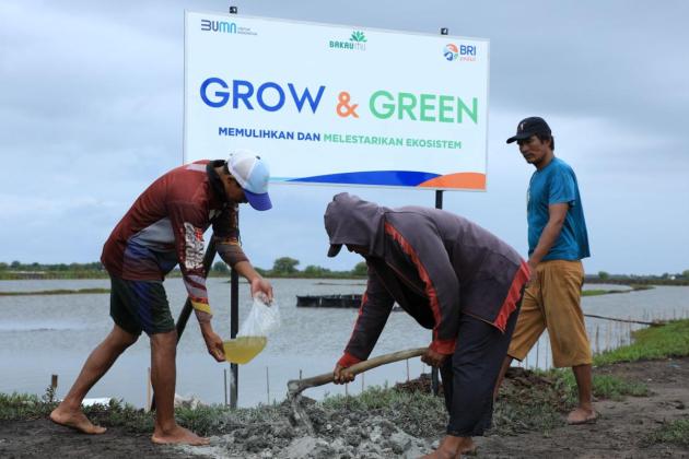 BRI Menanam - Grow & Green, Upaya Nyata BRI Bantu Pulihkan Ekosistem Lingkungan dan Dorong Pemberdayaan Ekonomi Masyarakat