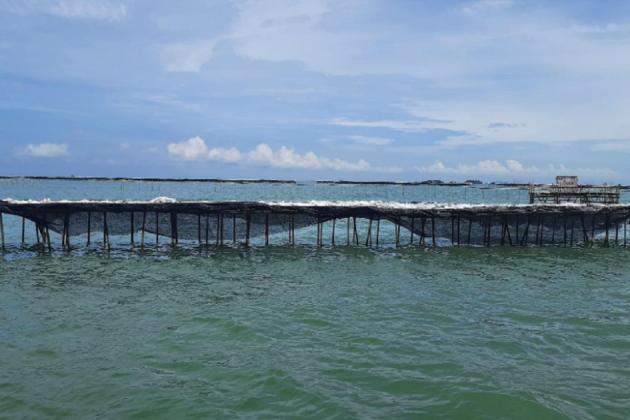 3.888 Nelayan di Pantura Terdampak Pagar Laut di Tangerang, Kerugian Capai Rp9 Miliar