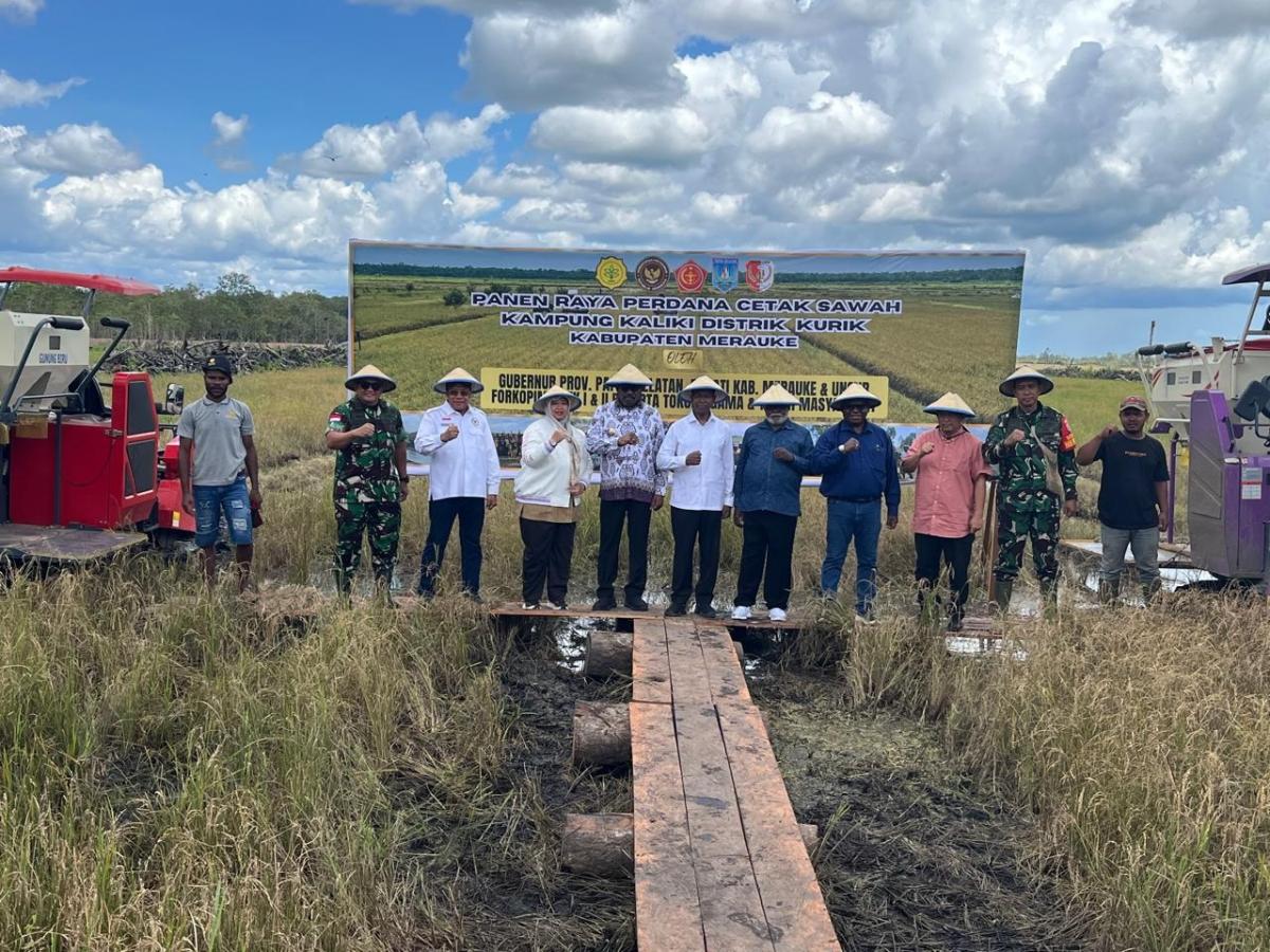 Panen Perdana Cetak Sawah Kampung Kaliki Dengan Mekanisasi Penuh, Harapan Kesejahteraan Rakyat Merauke