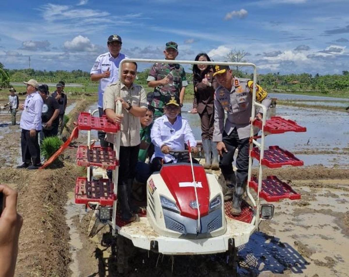 Andra Soni: Pemprov Banten Targetkan Luas Tanam Padi 38.000 Hektare